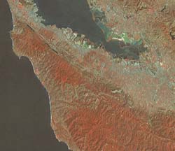 color-infrared photograph showing land and water