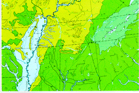 Potential Vegetation